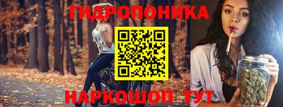 прущие грибы Конаково