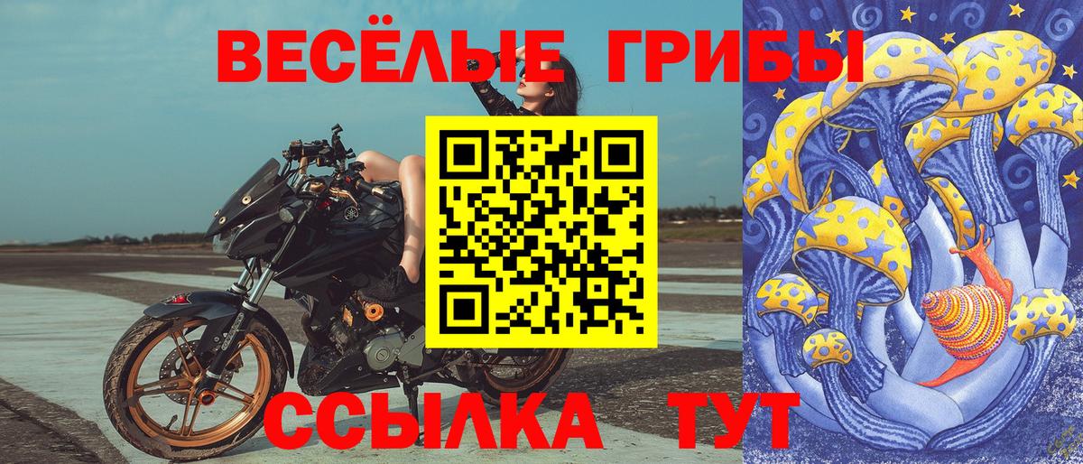 Псилоцибиновые грибы ЛСД  Вход с VPN  Кимры  Галлюциногенные грибы Psilocybine cubensis 