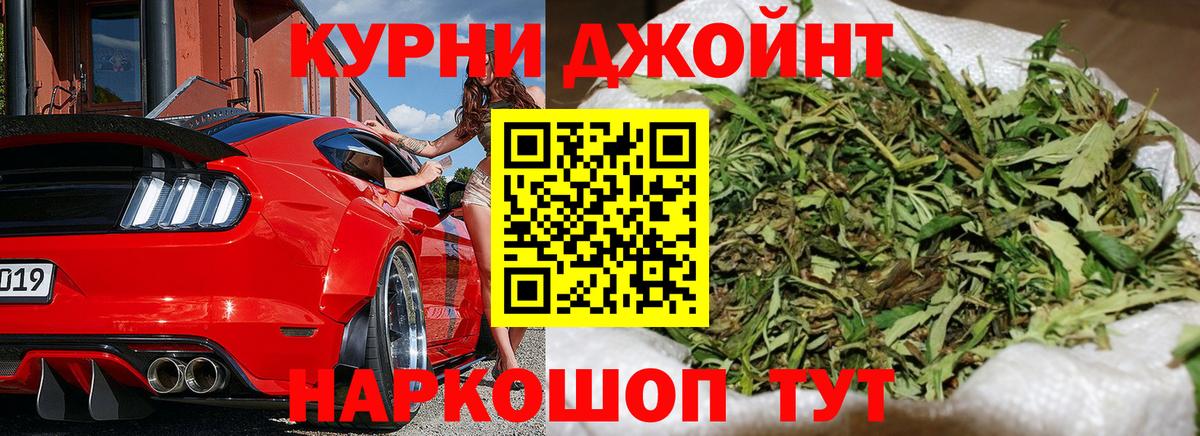 Бошки Шишки гибрид Кимры